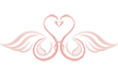 Swanweddingphoto